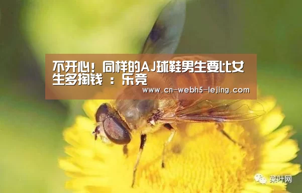 乐竞